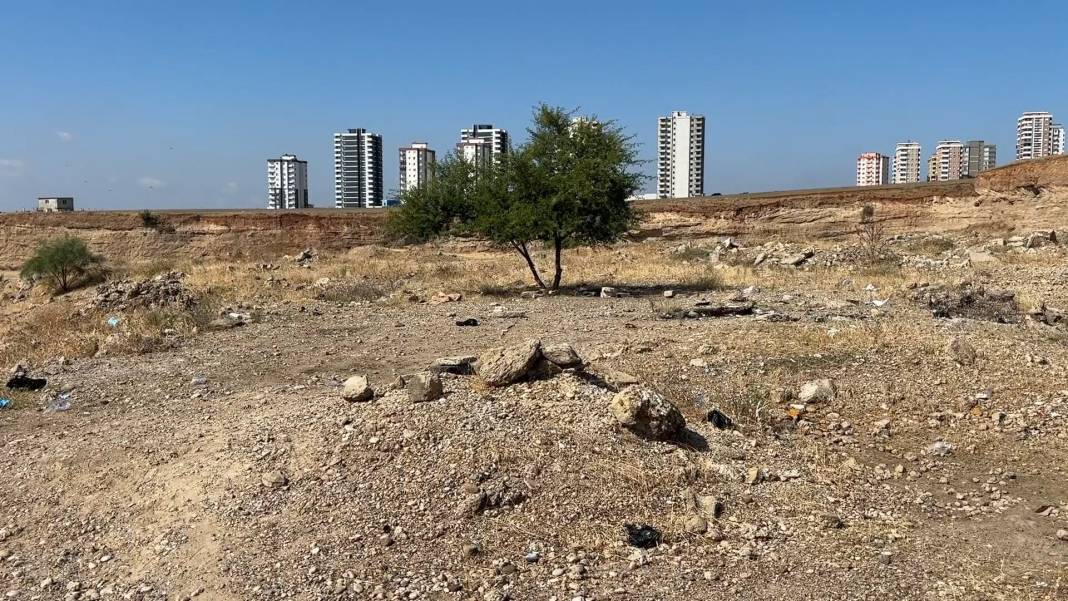 Boş arazide ceset bulundu! 2
